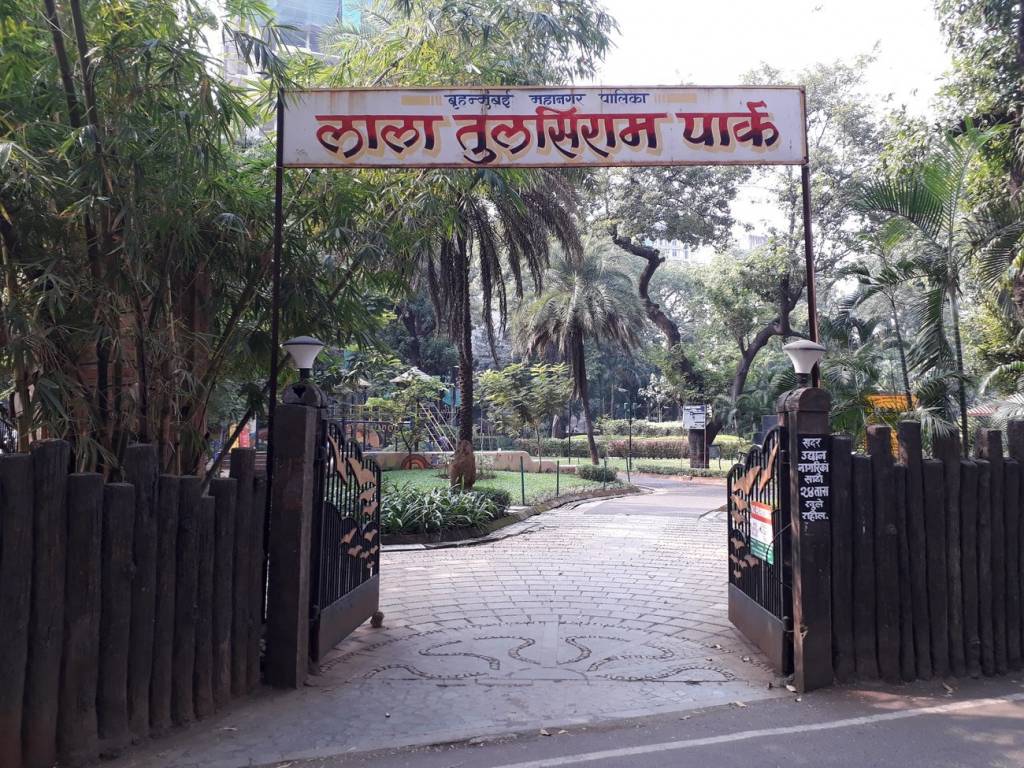 Morphosis Morphosis Adajioa