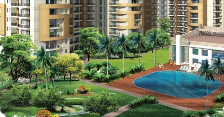 primrose ryne phase ii Others