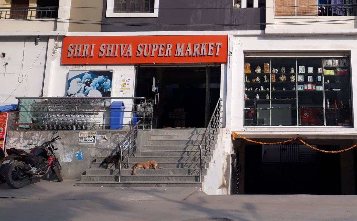 Sri Dhatri Sri Dhatri Sridhatri Tulip