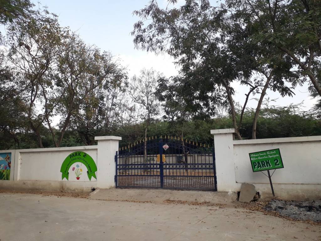 Sri Dhatri Sri Dhatri Sridhatri Tulip