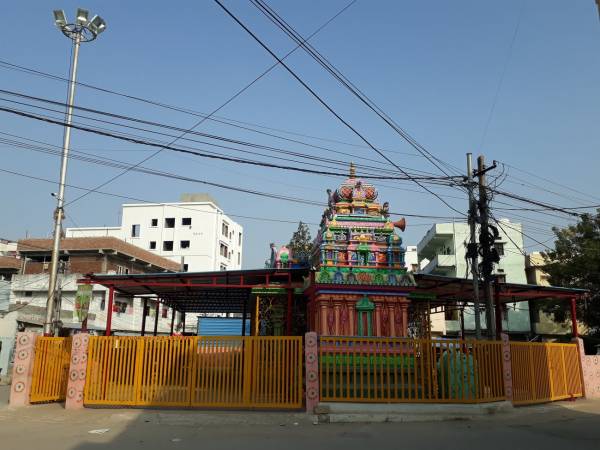 mainOther of Sri Dhatri Sri Dhatri Sridhatri Tulip