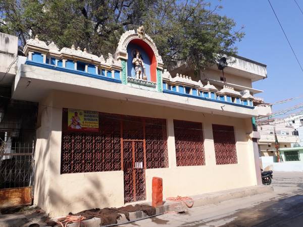 mainOther of Sri Dhatri Sri Dhatri Sridhatri Tulip