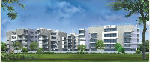  petal Images for Elevation of Innovative Petal