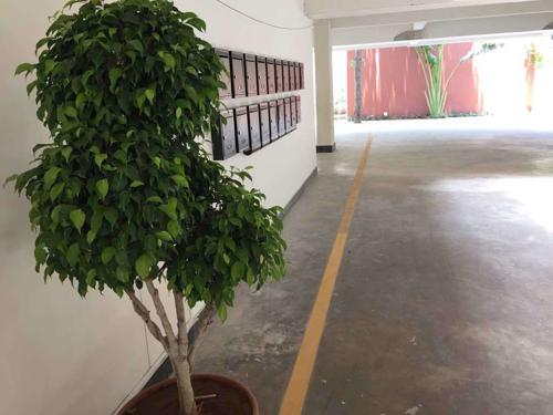  green-park-green-valley-shelters Car Parking