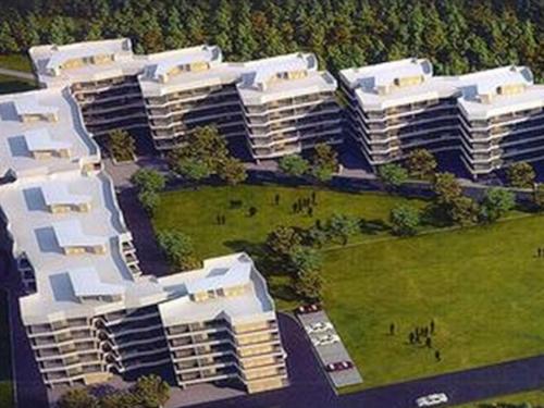  aasra-freedom Elevation