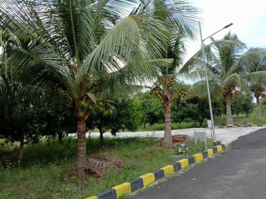  sri sai ram homes Internal Roads