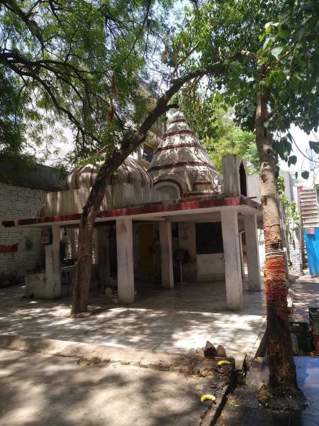 mainOther of Kartik Gupta F 143 Palam