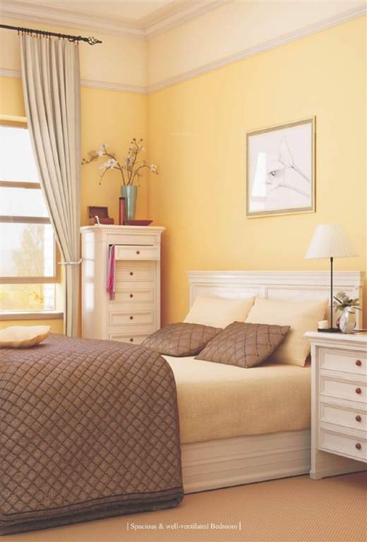  raghuvir salasar palace 2 Bedroom