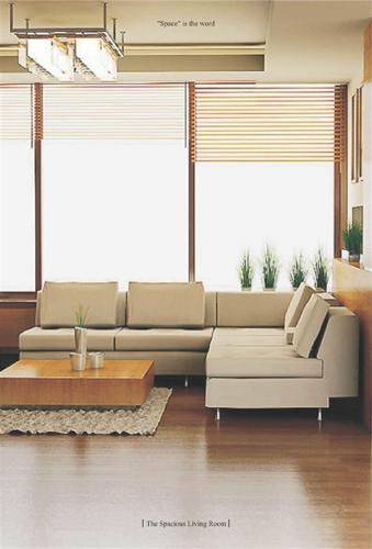  raghuvir-salasar-palace-2 Living Area