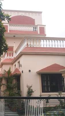 Elevation