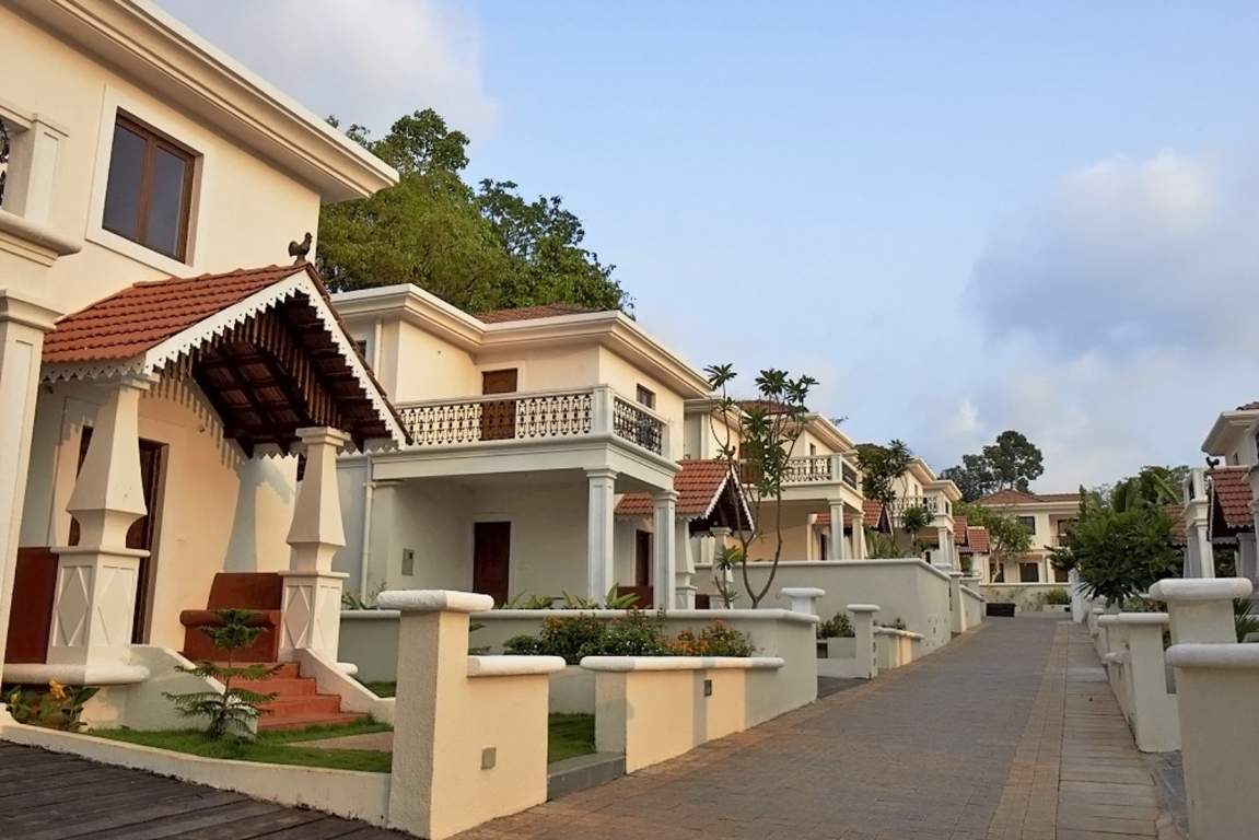 Classic Pinto Rosario Square