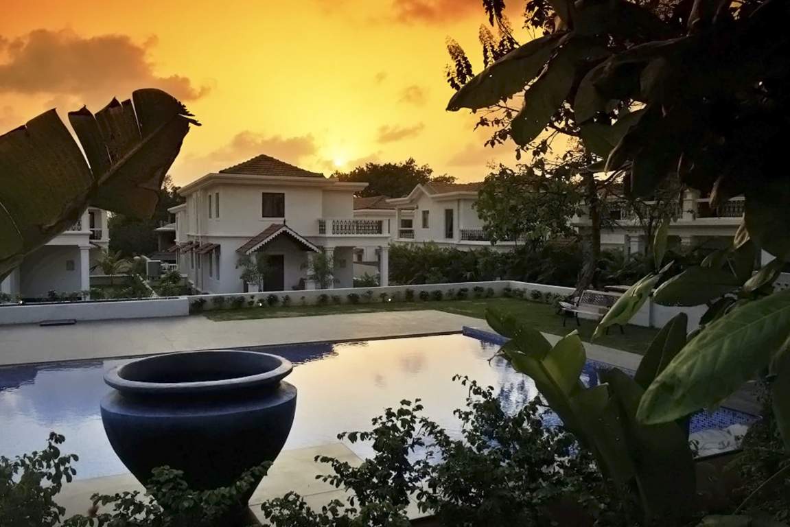 Classic Pinto Rosario Square