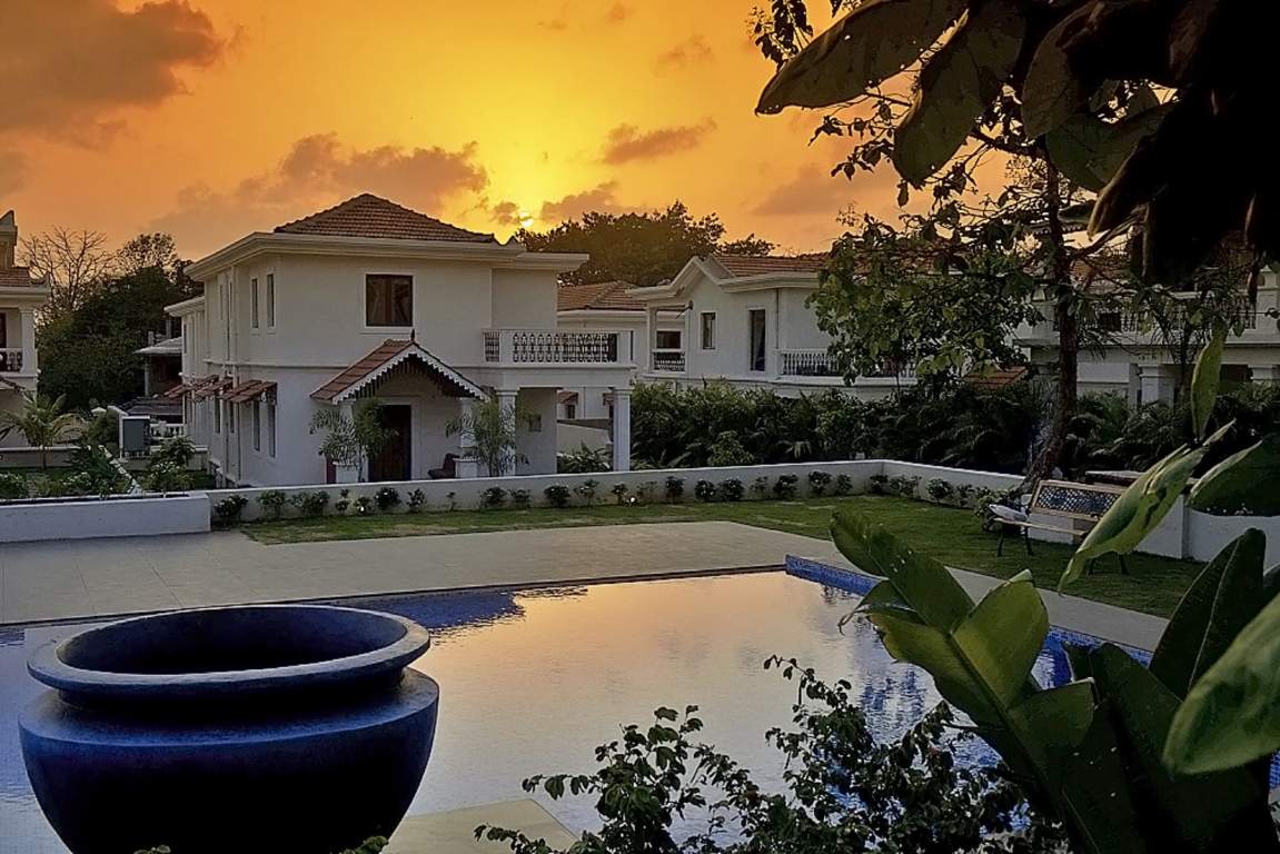 Classic Pinto Rosario Square