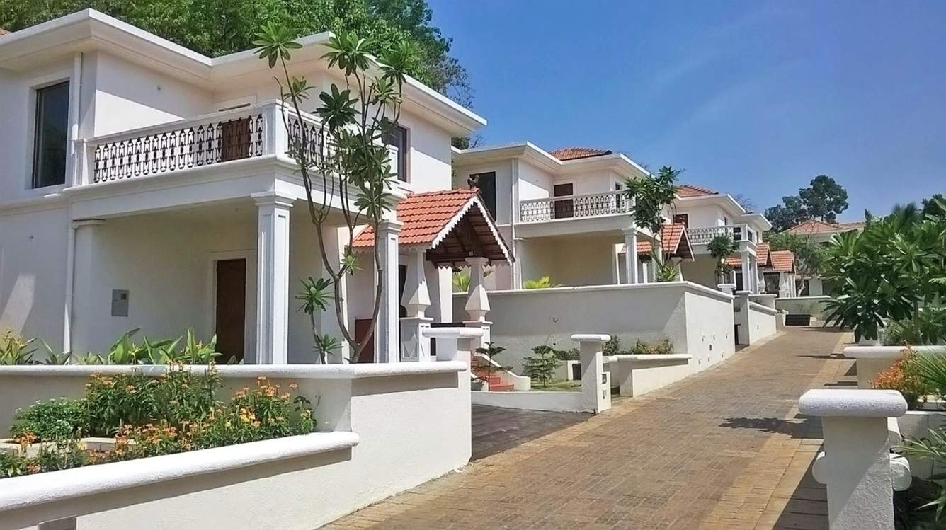 Classic Pinto Rosario Square