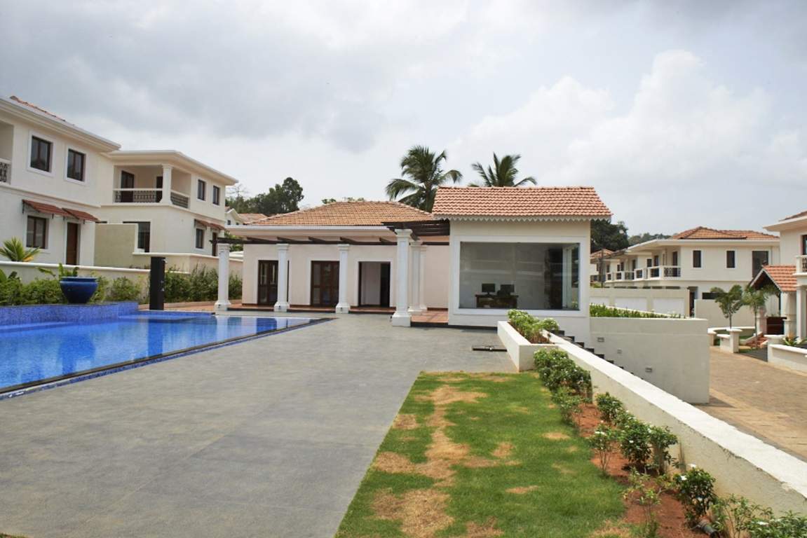 Classic Pinto Rosario Square