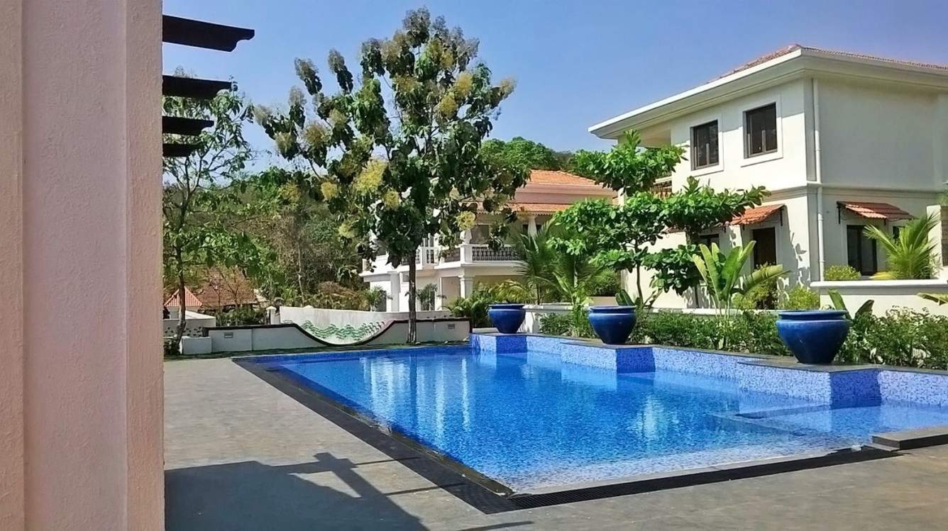 Classic Pinto Rosario Square