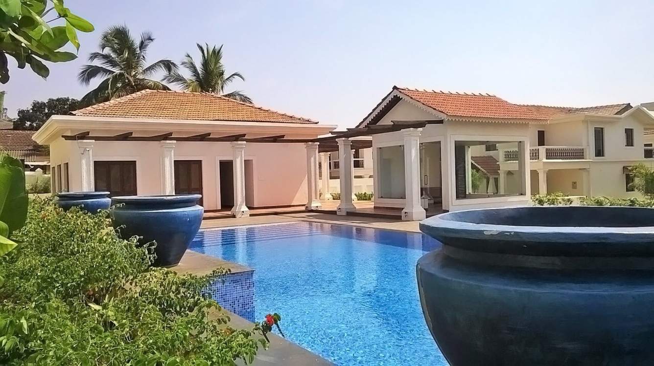 Classic Pinto Rosario Square