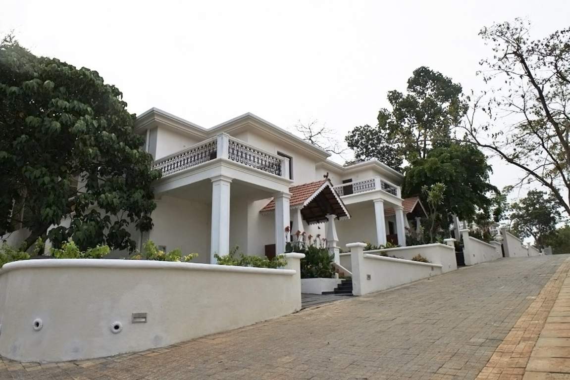 Classic Pinto Rosario Square