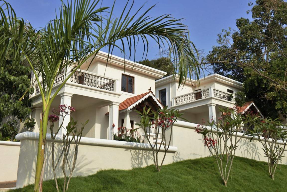 Classic Pinto Rosario Square