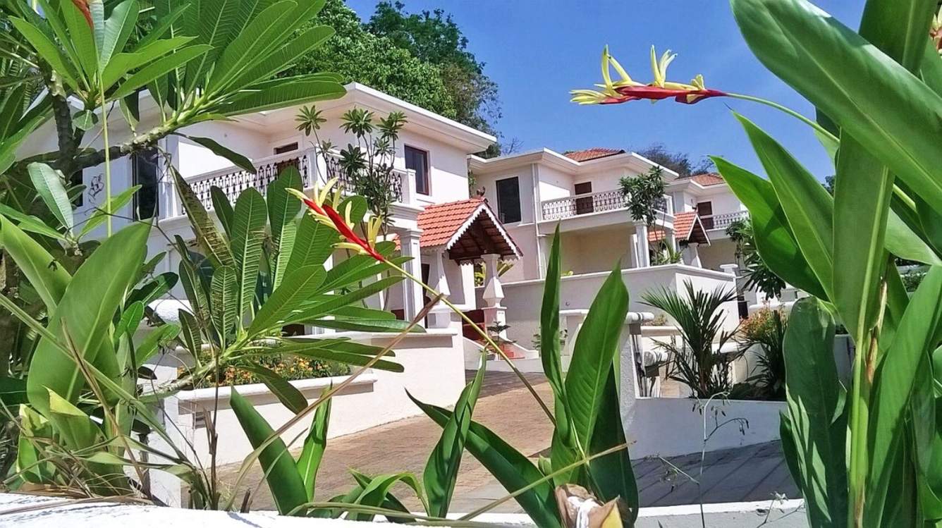 Classic Pinto Rosario Square