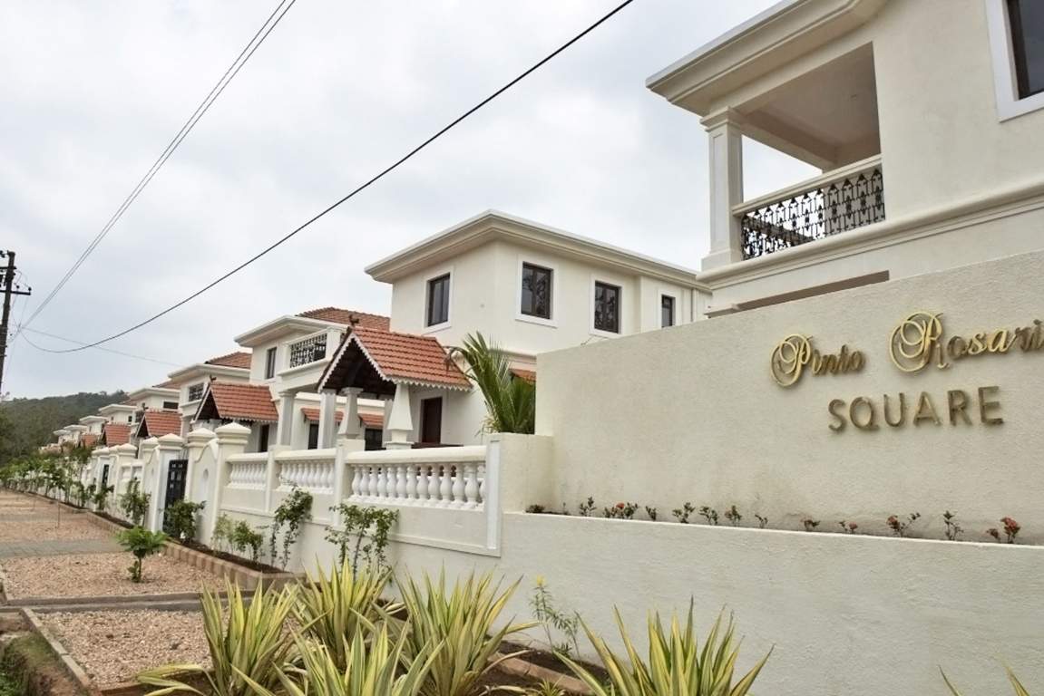 Classic Pinto Rosario Square