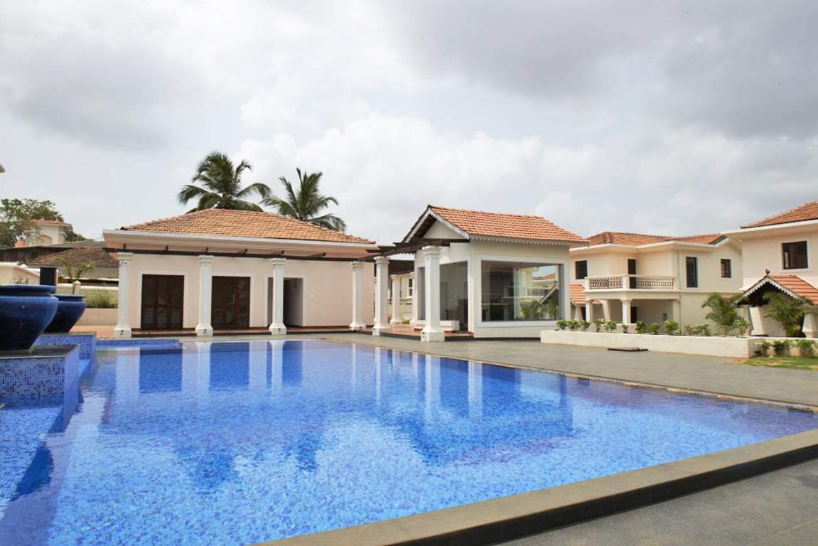 Classic Pinto Rosario Square