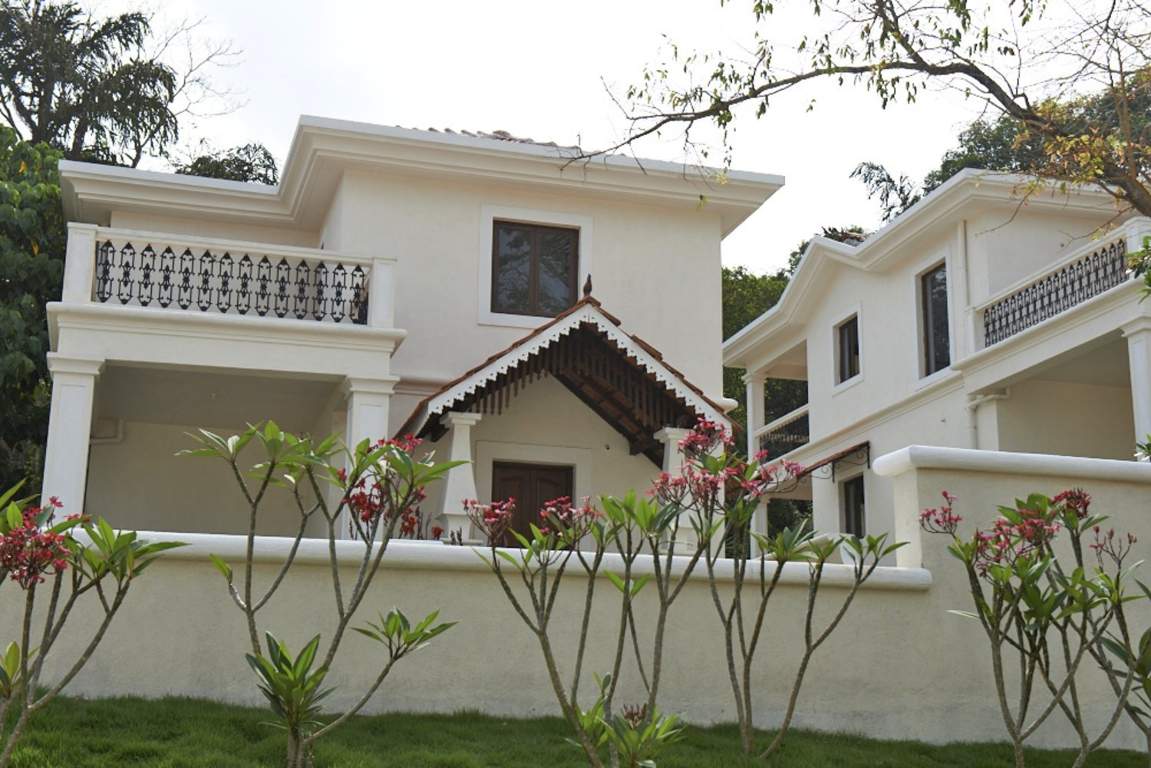 Classic Pinto Rosario Square