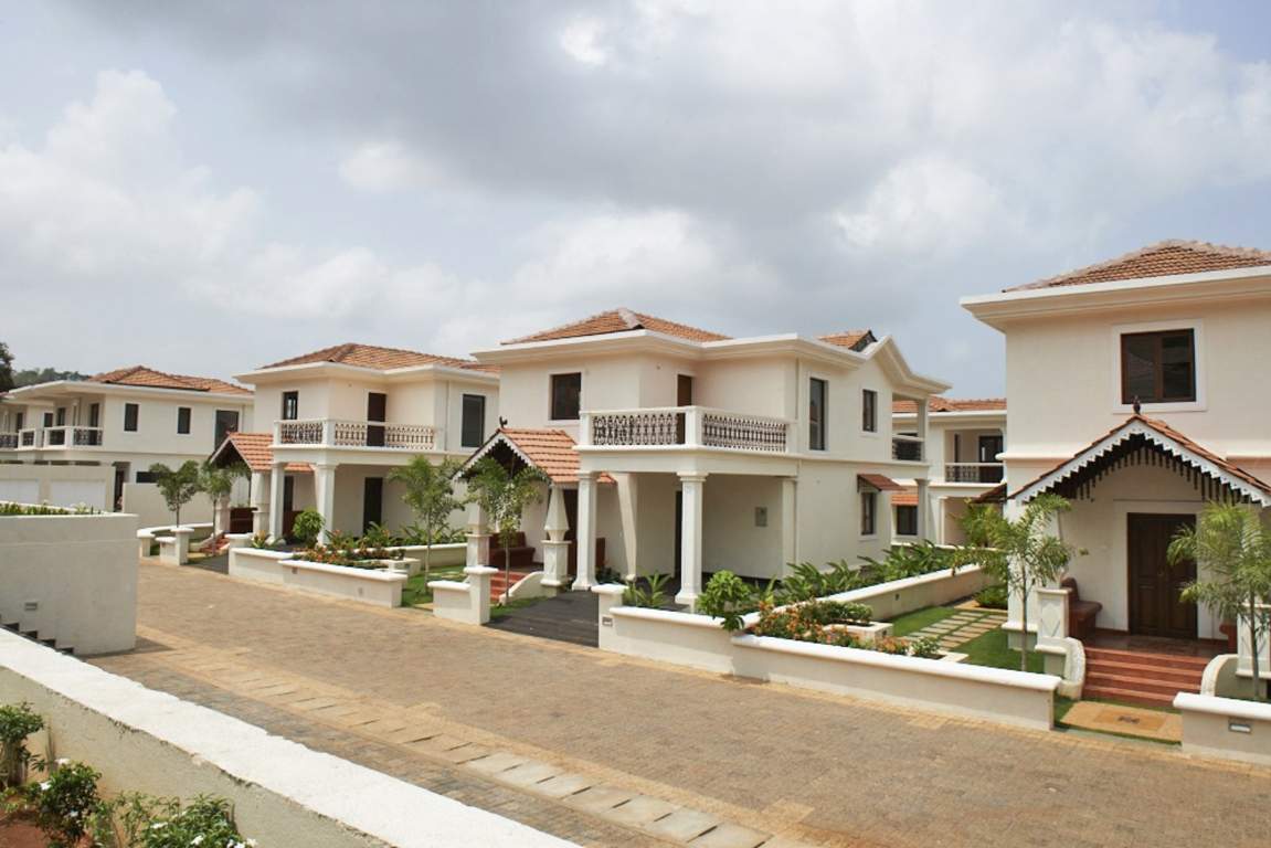 Classic Pinto Rosario Square