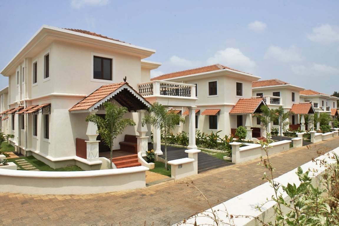 Classic Pinto Rosario Square