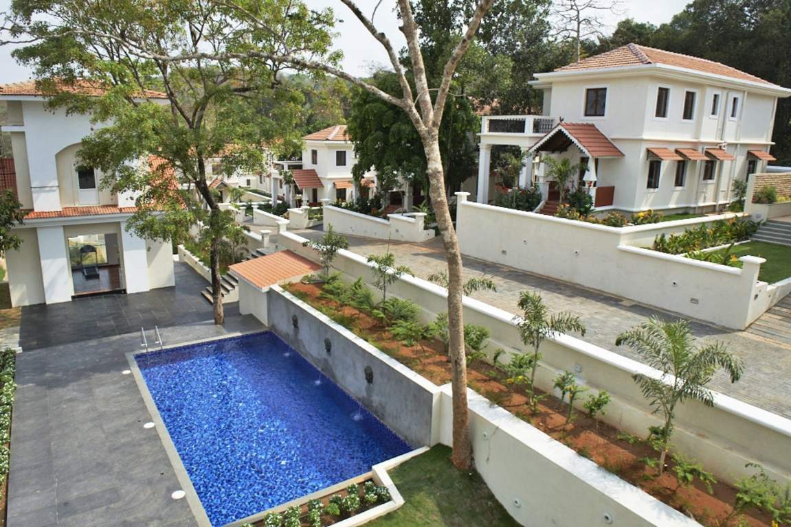 Classic Pinto Rosario Square