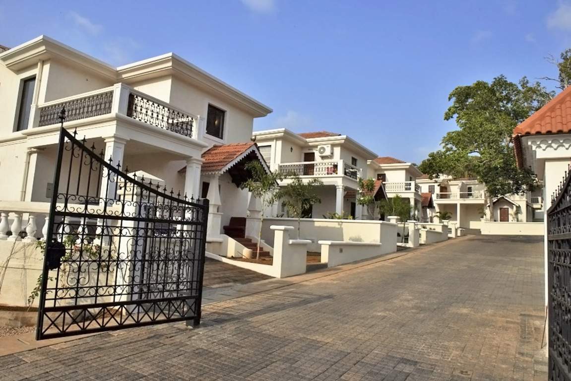 Classic Pinto Rosario Square