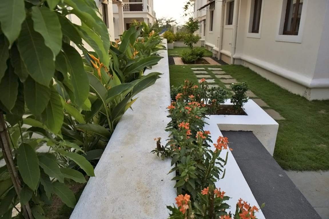 Classic Pinto Rosario Square