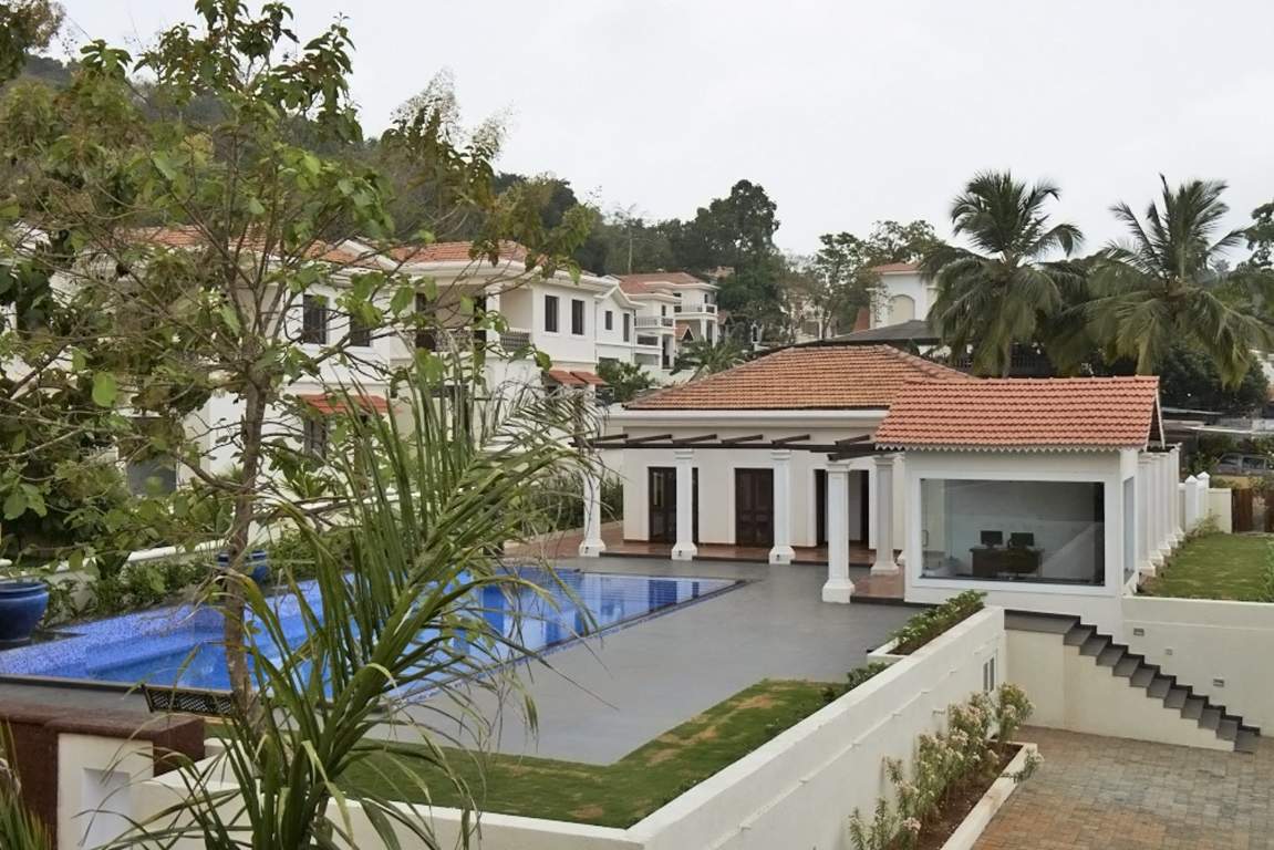 Classic Pinto Rosario Square