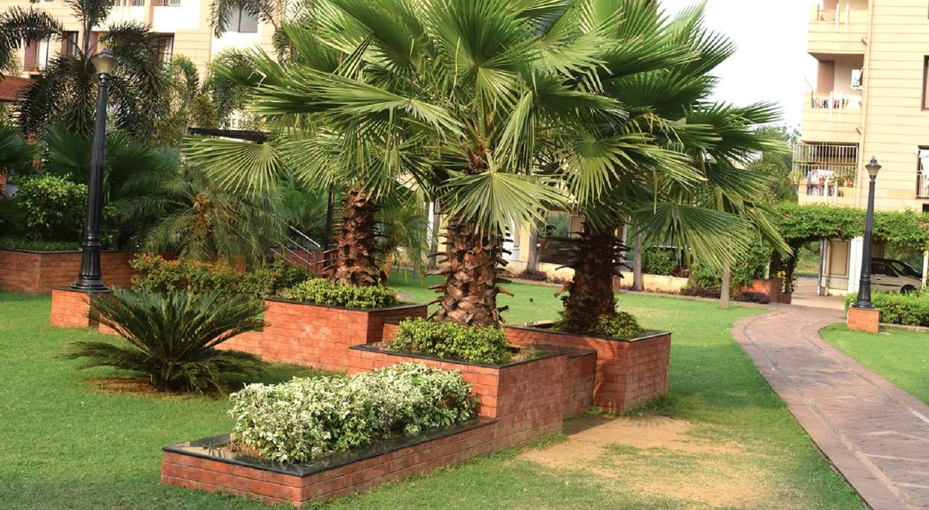  city  Landscaped Gardens