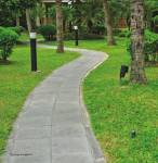 Jogging Track touchwood-infraventures-the-woods Jogging Track