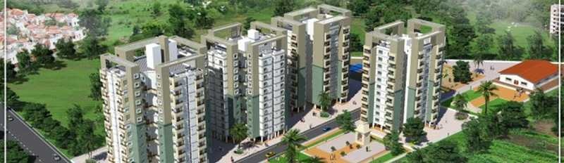 Elevation miracle nine Elevation