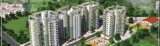 miracle-nine Elevation Elevation