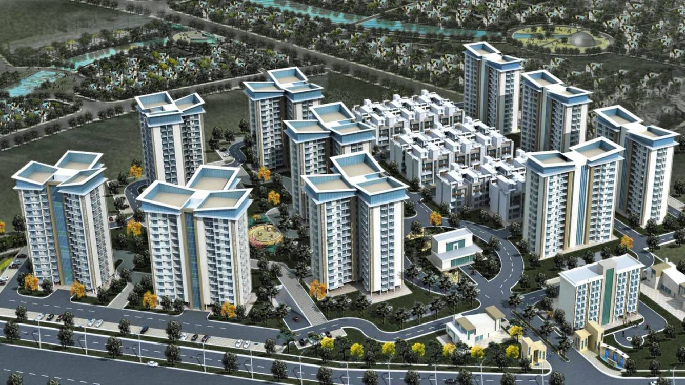 Splendor Paradise Floors