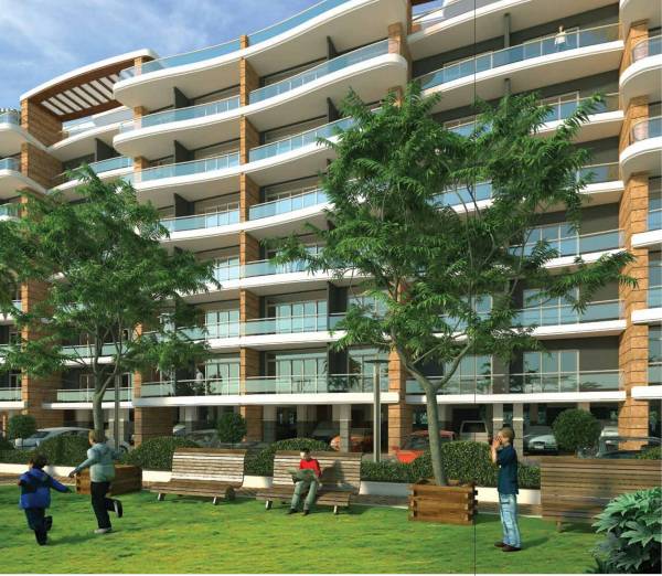  windsor-aralia Landscaped Gardens