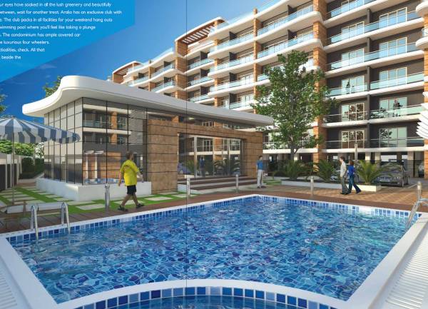  windsor-aralia Swimming Pool