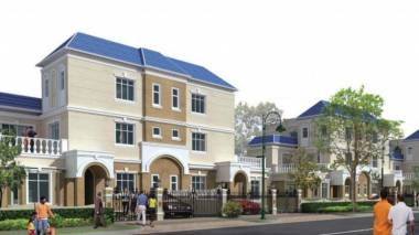  dream-city Elevation