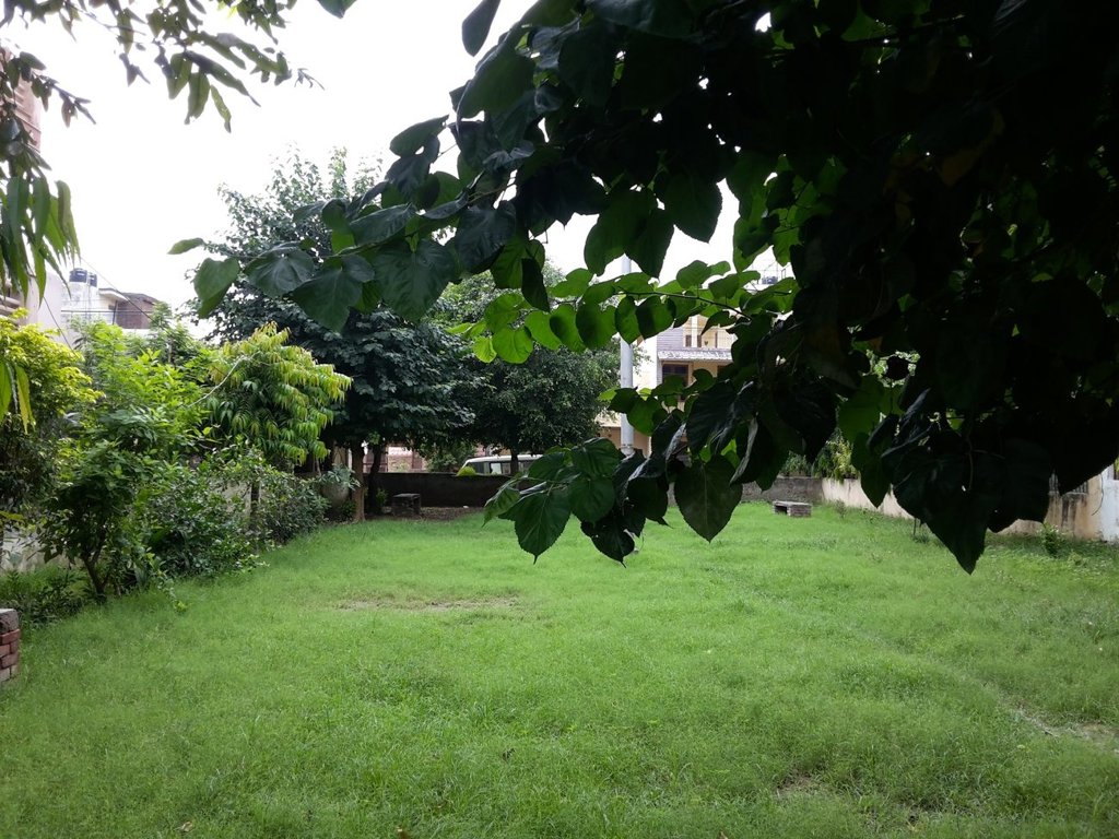 Goel Residency Goel MAA 4