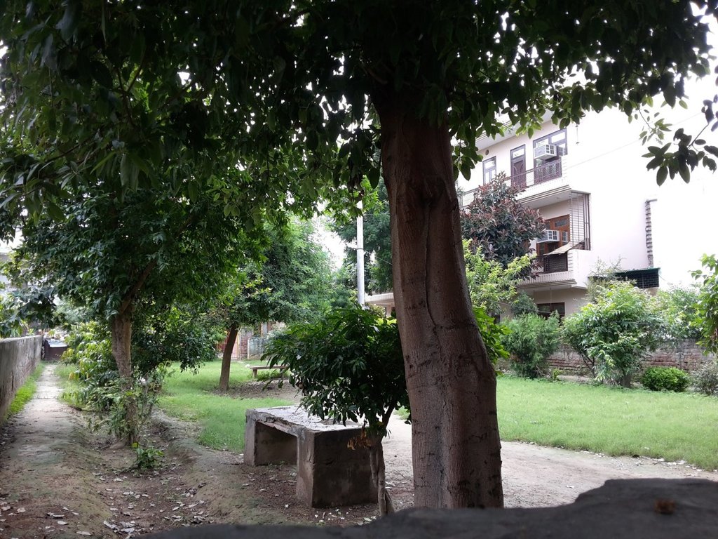 Goel Residency Goel MAA 4