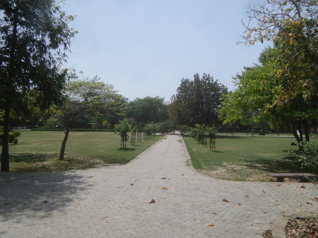 Goel Residency Goel MAA 4