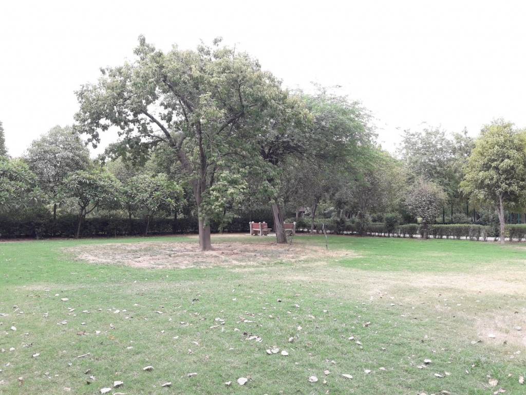 Arora Estate Arora Floors VIII