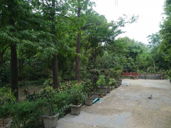 mainOther of Amit Amit Aditya Floors - XI