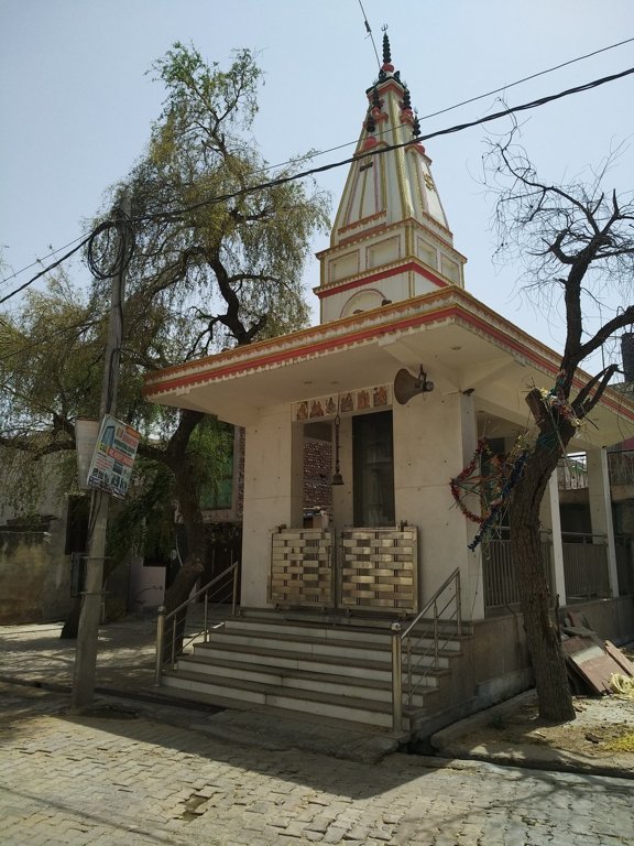 Shri Shyam Properties and Builders SS Floor   10