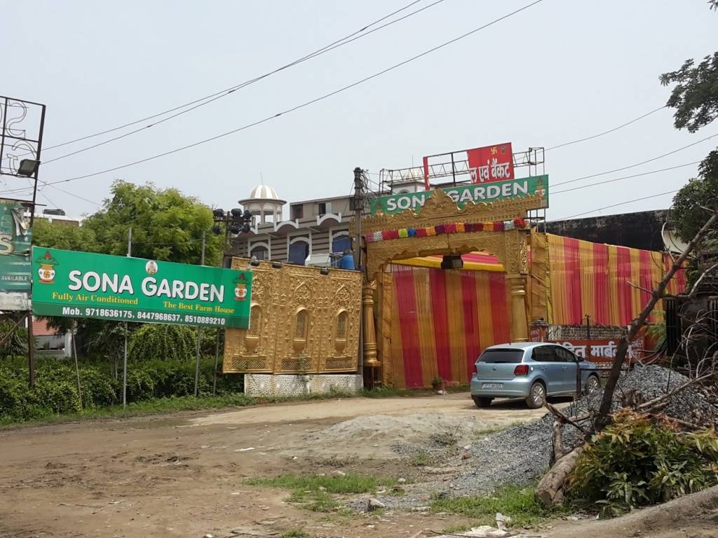 Friends Friends Olive