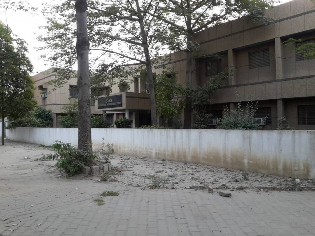 Friends Friends Olive