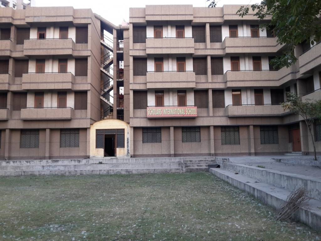 Friends Friends Olive